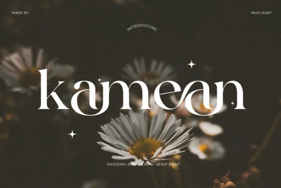Kamean: Organic Sophistication in Modern Serif Design
