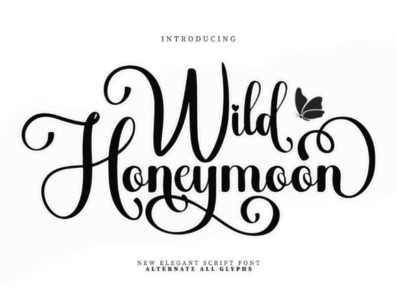 The Elegant Script Font for Luxury Branding
